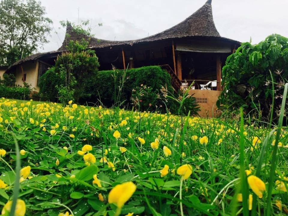 Mari Pai Resort Kültér fotó